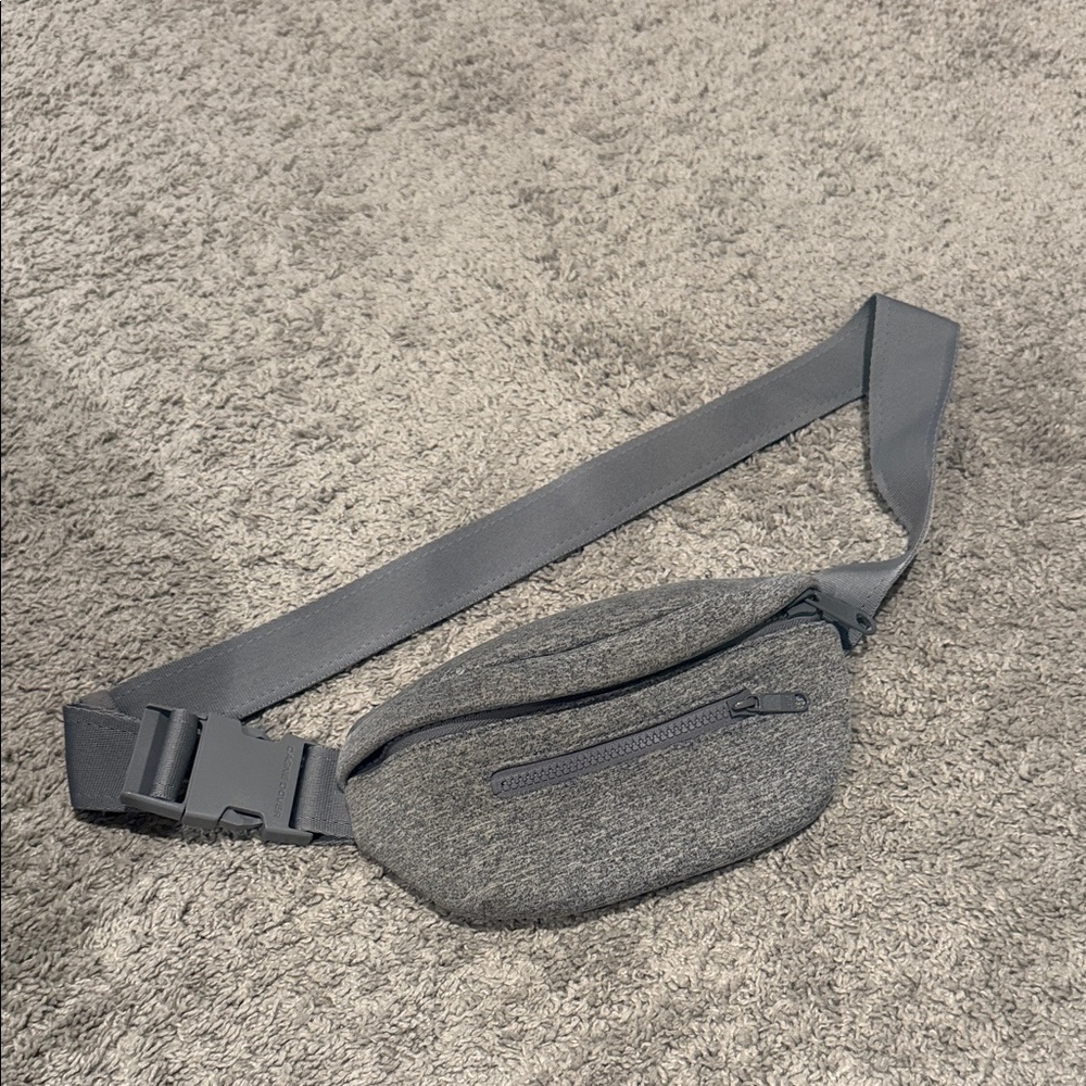 Dagne Dover Gray Belt Bag
